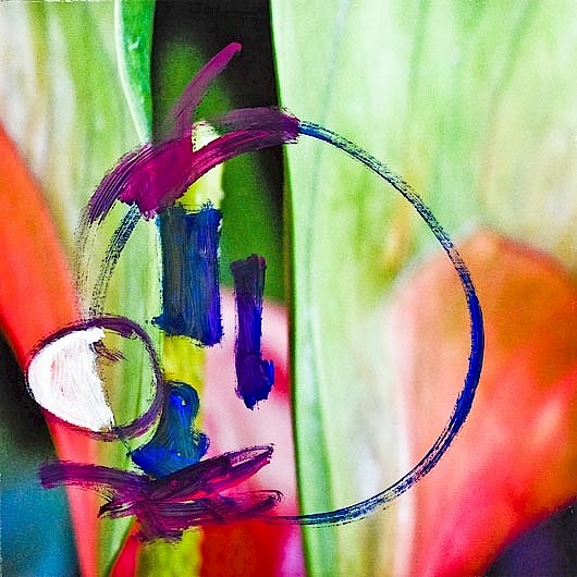 מעל לפני השטח | דניאלה פז-אורה